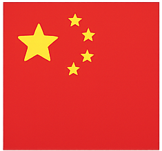 中文 (中国)